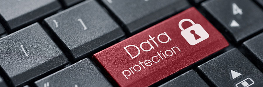 Celebrating Data Privacy Day: Tips to protect your business’s online privacy